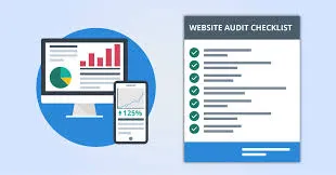 Perform an Expert Website Audit for You”